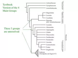 Textbook Version of the 4 Main Groups