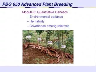 PBG 650 Advanced Plant Breeding