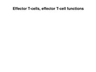 Effector T-cells, effector T-cell functions