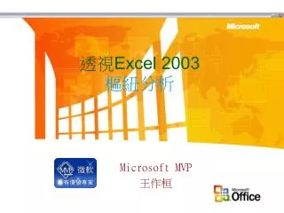 excel 2003