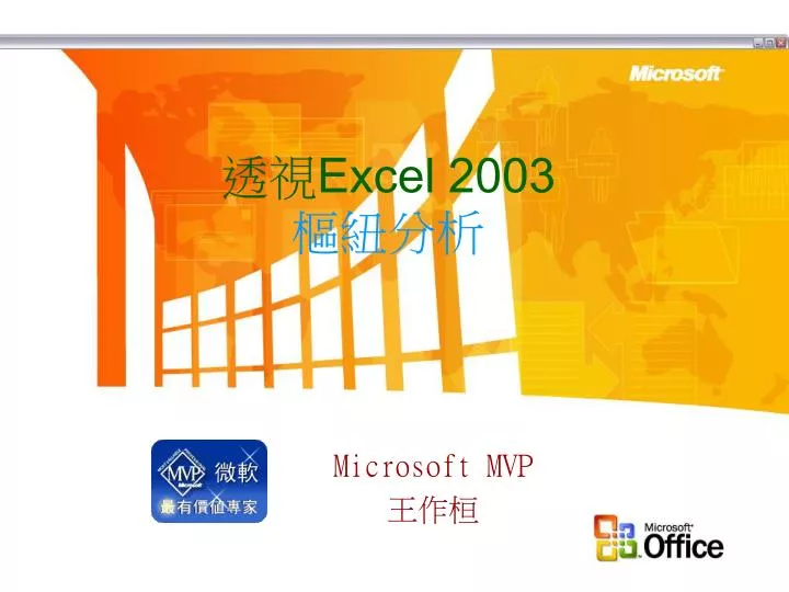 excel 2003