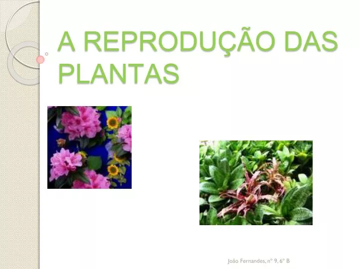 a reprodu o das plantas