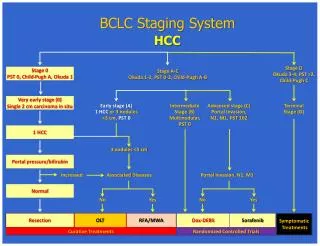 BCLC Staging System