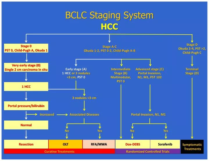 bclc staging system