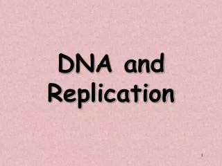 DNA and Replication