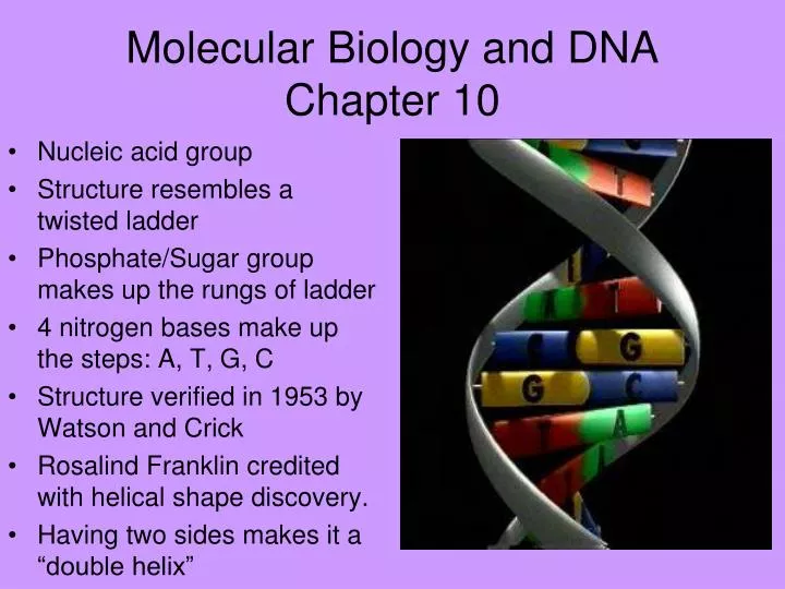molecular biology and dna chapter 10
