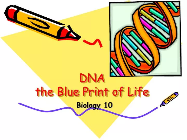 dna the blue print of life