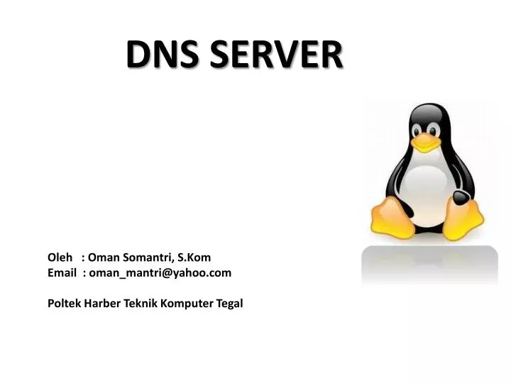 dns server