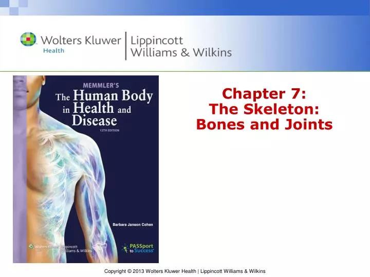 chapter 7 the skeleton bones and joints