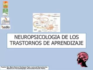 neuropsicologia de los trastornos de aprendizaje