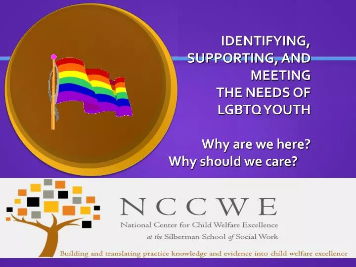 identifying supporting and meeting the needs of lgbtq youth why are we here why should we care