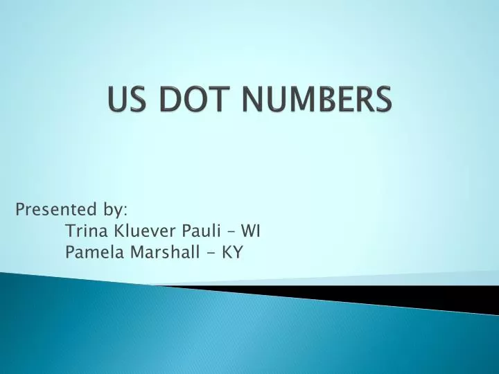 us dot numbers