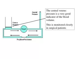 The central venous pressure is a very good indicator of the blood volume.