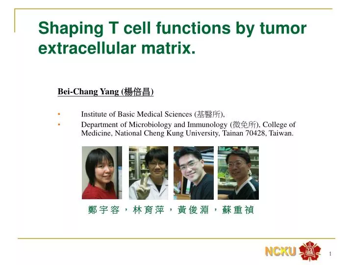 shaping t cell functions by tumor extracellular matrix