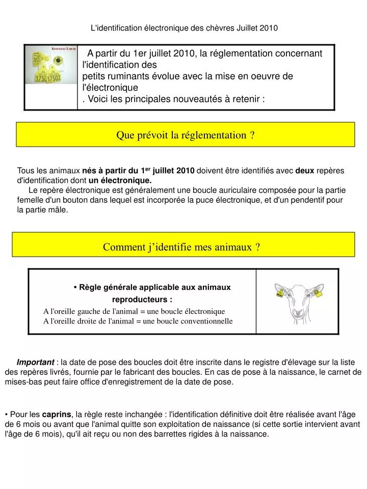 l identification lectronique des ch vres juillet 2010