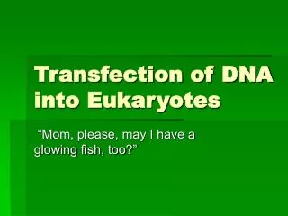 Transfection of DNA into Eukaryotes