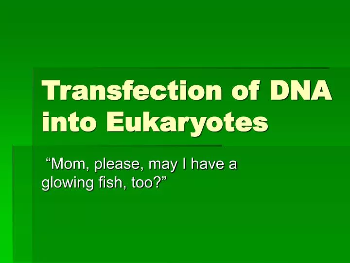 transfection of dna into eukaryotes