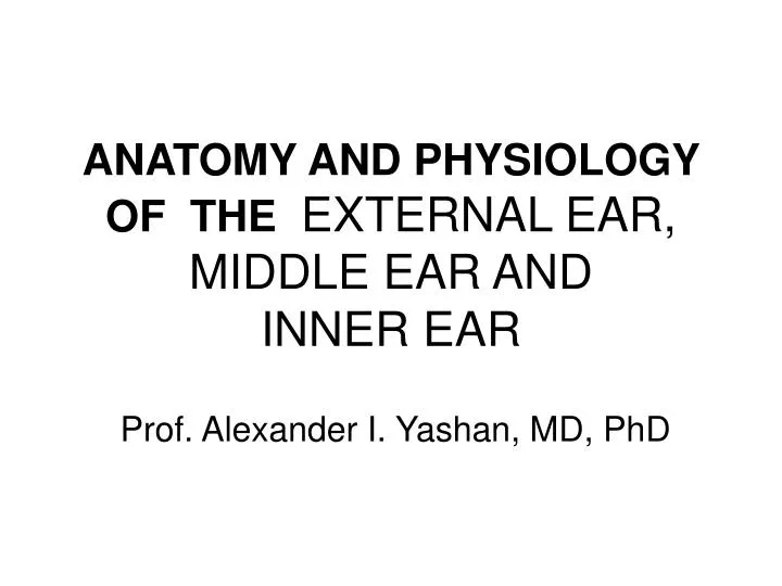 anatomy and physiology of the external ear middle ear and inner ear