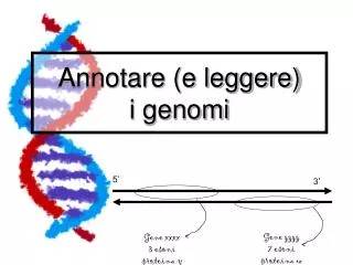 annotare e leggere i genomi