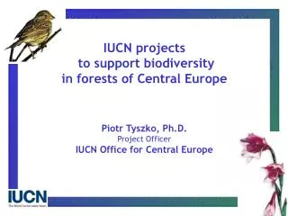 IUCN projects to support biodiversity in forests of Central Europe Piotr Tyszko, Ph.D.