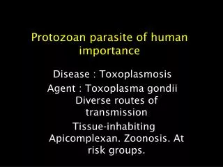 Protozoan parasite of human importance