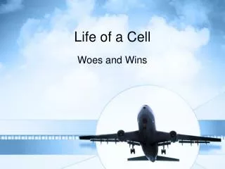 Life of a Cell