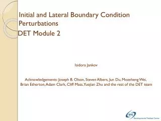 Initial and Lateral Boundary Condition Perturbations DET Module 2