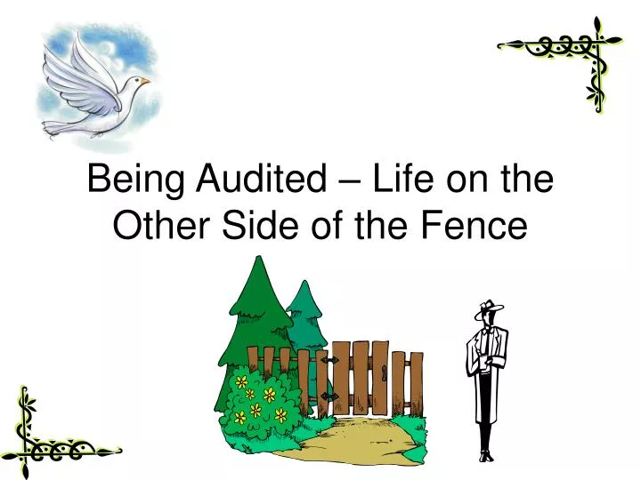 being audited life on the other side of the fence