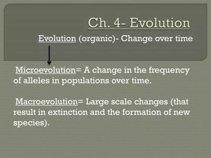 ch 4 evolution