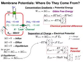 Membrane Potentials: Where Do They Come From?