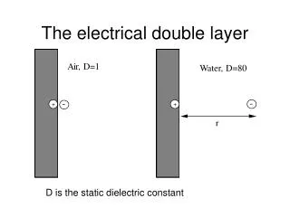 The electrical double layer