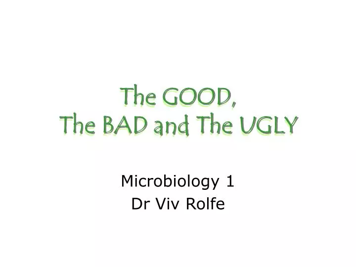 the good the bad and the ugly