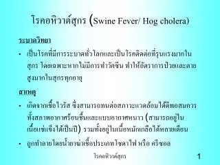swine fever hog cholera