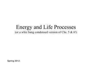 Energy and Life Processes (or a whiz bang condensed version of Chs. 5 &amp; 6!)