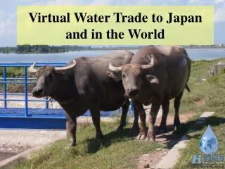 Virtual Water Trade to Japan and in the World