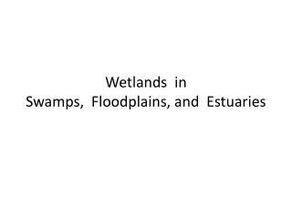 Wetlands in Swamps, Floodplains, and Estuaries