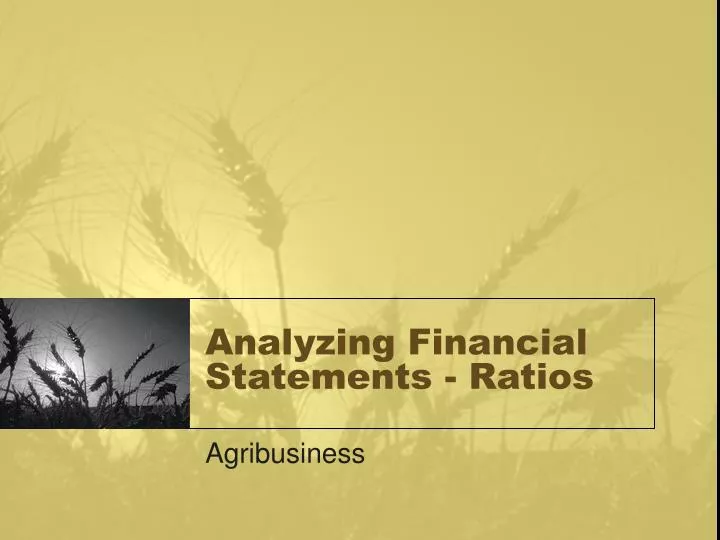 analyzing financial statements ratios