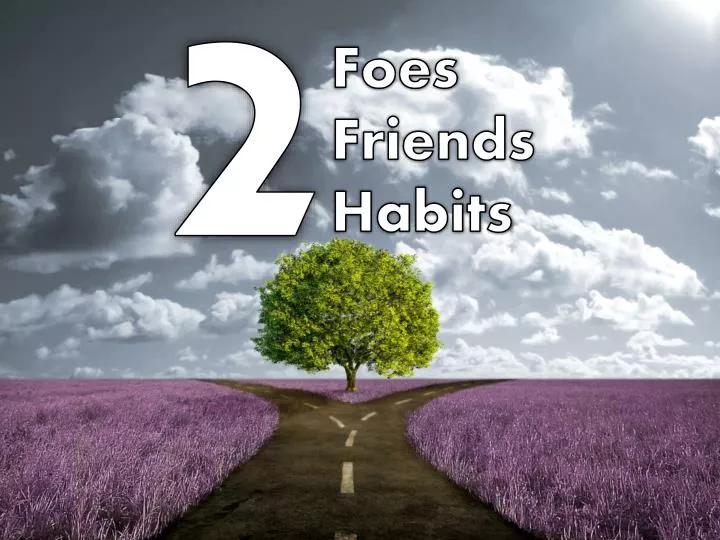 foes friends habits