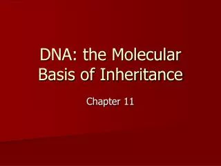 DNA: the Molecular Basis of Inheritance