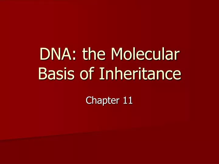 dna the molecular basis of inheritance