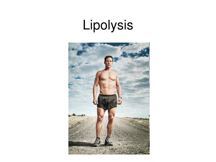 lipolysis