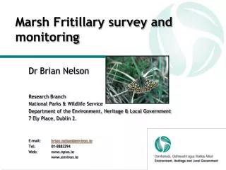 Marsh Fritillary survey and monitoring