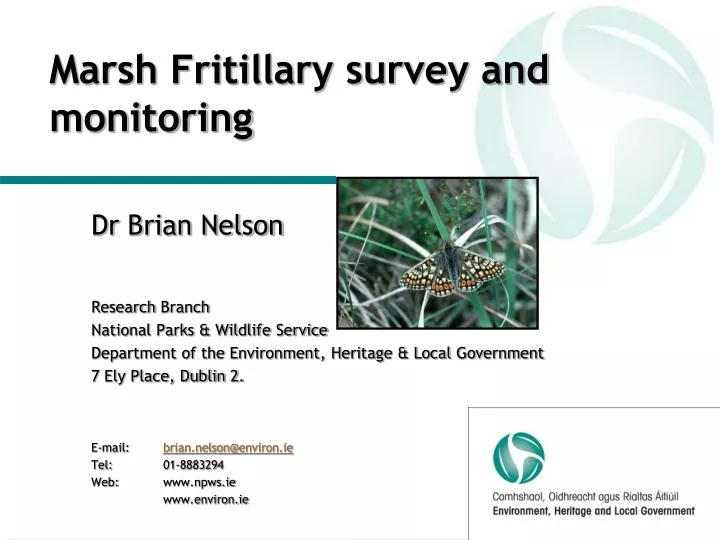 marsh fritillary survey and monitoring