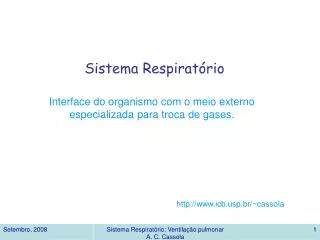 sistema respirat rio