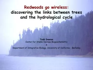 Redwoods go wireless: discovering the links between trees and the hydrological cycle
