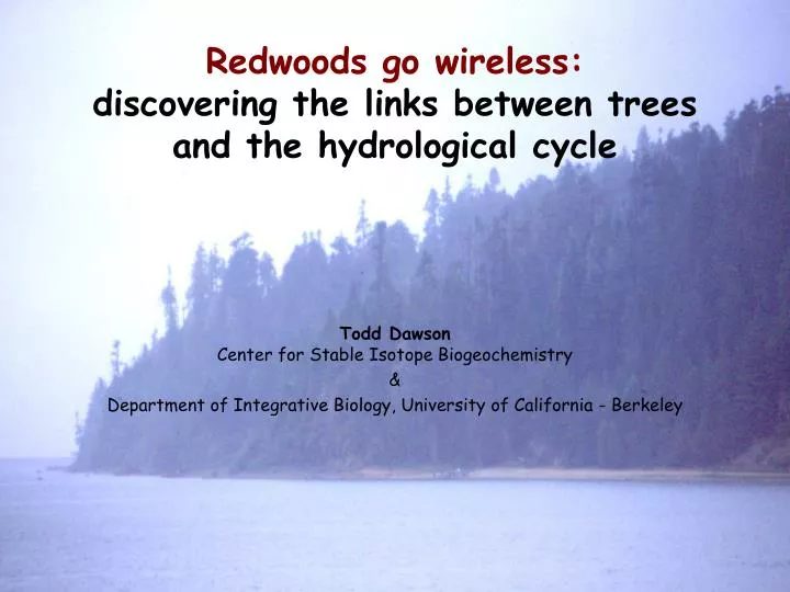redwoods go wireless discovering the links between trees and the hydrological cycle