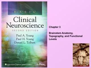 Chapter 3 Brainstem Anatomy, Topography, and Functional Levels