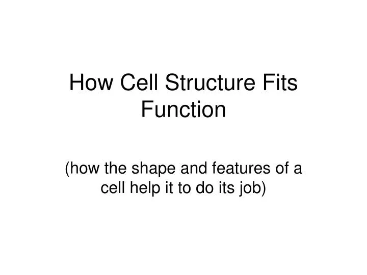 how cell structure fits function