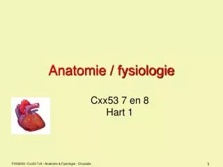 anatomie fysiologie