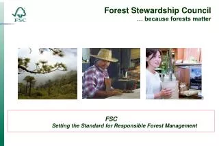 FSC Setting the Standard for Responsible Forest Management